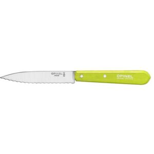 Opinel Vroub nůž N°113 Pop, apple green 10 cm