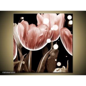 Obraz meruňkově zbarvených tulipánů (F005066F3030)