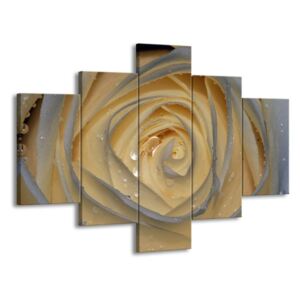 Vícedílný obraz Krémová růže 100x70 cm