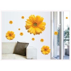 U Foťáka Samolepky na zeď Květy žluté 45x60cm
