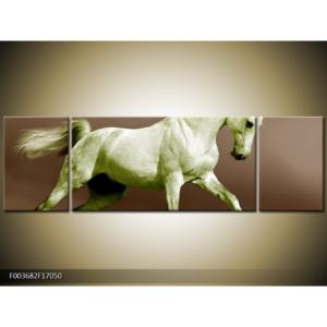 Obraz zeleného koně (F003682F17050)