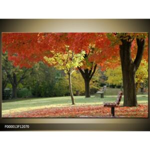 Obraz na plátně Podzimní park, Tvar obrazu a rozměr Obdélník 120x70cm 2130 Kč