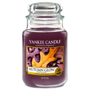 Yankee Candle - Autmn Glow 623g