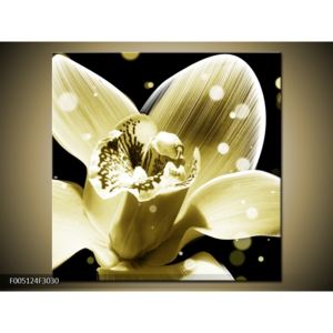 Obraz světle žluté květiny (F005124F3030)
