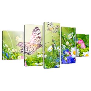 Obraz na plátně Motýli a květiny v krásné zahradě 150x70cm 2220A_5B