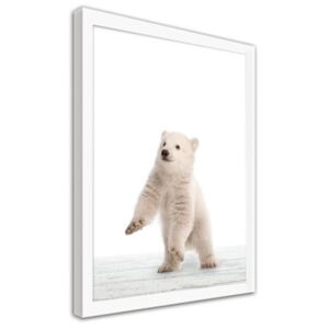 CARO Obraz v rámu - Polar Bear 30x40 cm Bílá
