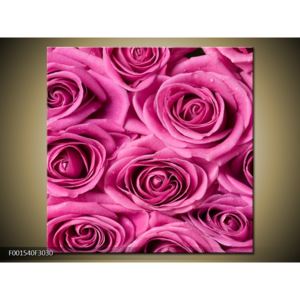 Obraz růžových květů růží (F001540F3030)