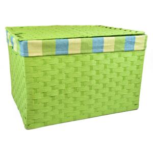 Vingo Úložný box s víkem zelený Rozměry (cm): 40x29, v. 28