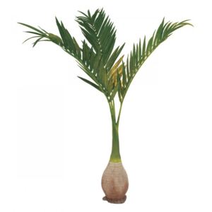 Europalms palma Phoenix, umělá rostlina, 240cm