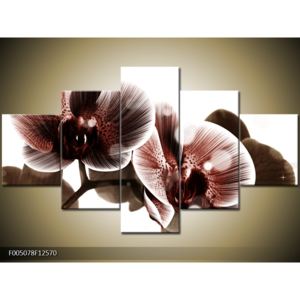 Obraz cihlově zbarvených orchidejí (F005078F12570)