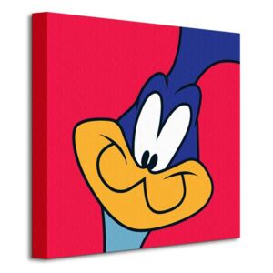 Obraz na plátně Looney Tunes (Road Runner) 40x40cm WDC95127