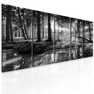 InSmile ® Obraz černobílá pohoda lesa Velikost: 100x45 cm