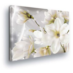 Obraz na plátně - Magické Bílé Květy 100x75 cm