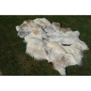 ARCTIC FUR Koberec z pravé ovčí kožešiny 120x180, béžový