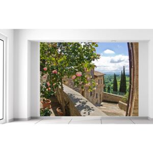 Gario Fototapeta Růže na balkoně Materiál: Latexová (lepidlo zdarma), Velikost: 200 x 150 cm