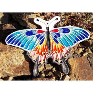 Motýl Madeira