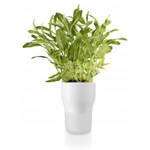 Samozavlažovací květináč na bylinky bílý
