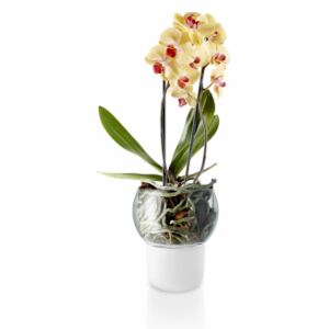 Samozavlažovací květináč na orchideje Frosted Big