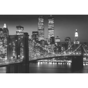 Plakát, Obraz - Manhattan - night, (91.5 x 61 cm)