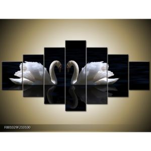 Obraz labutí lásky (210x100 cm)