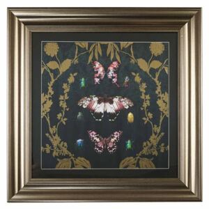 Arthouse Rámovaný obraz - Alchemy Butterfly
