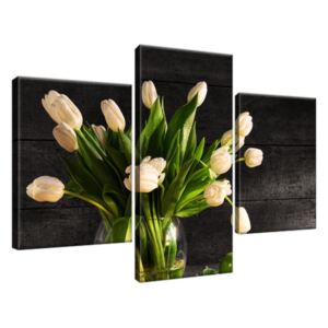 Obraz na plátně Krémové tulipány 90x60cm 1392A_3B