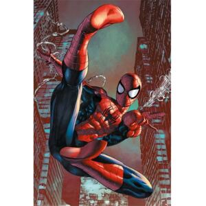 Plakát Spiderman - Web Sling