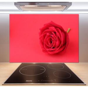 Panel do kuchyně Červená růže