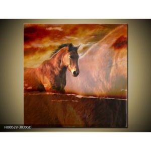 Obraz koně (F000528F3030GD)