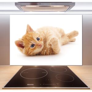 Skleněný panel do kuchynské linky Červená kočka