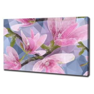 Foto obraz na plátně do obýváku Růžová magnolie