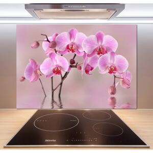 Panel do kuchyně Růžová orchidej