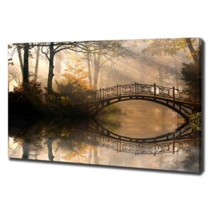 Foto obraz na plátně do obýváku Starý most podzim