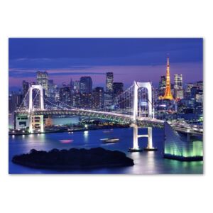 Fotoobraz na skle Most v Tokio