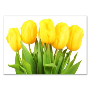 Foto-obrah sklo tvrzené Žluté tulipány