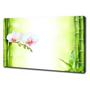 Foto obraz na plátně Orchidej a bambus