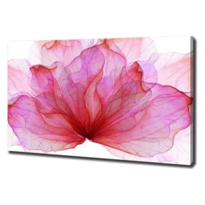 Foto obraz na plátně do obýváku Růžová květina