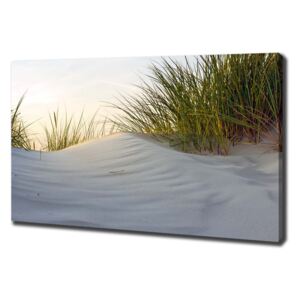 Foto obraz canvas Mořské duny