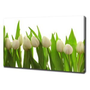 Foto obraz na plátně do obýváku Bílé tulipány