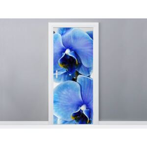 Gario Samolepící fólie na dveře Modrá orchidej 95x205cm