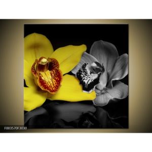 Obraz žluté orchideje (F003570F3030)