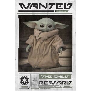Plakát Star Wars|Hvězdné Války TV seriál The Mandalorian: Wanted The Child - mladý Yoda (61 x 91,5 cm)