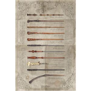 Plakát Harry Potter: The Wand Chooses The Wizard (61 x 91,5 cm)