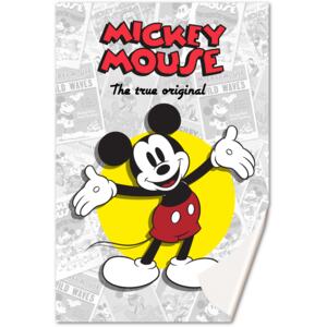EUROSWAN Fleece deka Mickey klasik 100/150