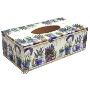 Box na kapesníky - květináče levandulí