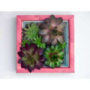 Dřevěný květináč - živý obraz pro sukulenty Color Mix