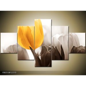 Krásný obraz žlutého tulipánu (F002518F12570)