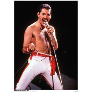 Plakát, Obraz - Queen (Freddie Mercury) - Los Angeles 1982, (59,4 x 84 cm)