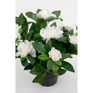 Animadecor Umělá rostlina - Gardenia bílá květina