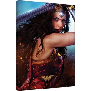 Obraz na plátně Wonder Woman - Wonder, ( x cm)